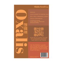 Chive Shido Seed Co. Oxalis Seeds 1 pk