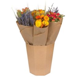 Dutch Flower House Market Single Orange Mix Bouquet Dried Flowers