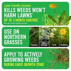 Roundup Weed Killer RTU Liquid 1 gal