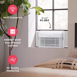 Frigidaire 10000 BTU 115 V WIFI Window Air Conditioner w/Remote 450 sq ft