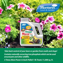 Monterey Sluggo Maxx Slug and Snail Killer 2 lb