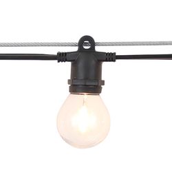 Belle Luci Holiday Bright Lights G40 Patio Light Set Warm White 50 ft. 24 lights