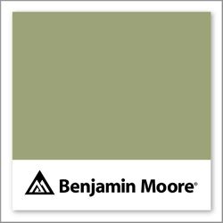 Benjamin Moore Barefoot in the Grass CSP-840