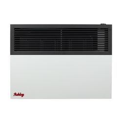 US Stove Ashley Hearth 570 sq ft 17000 BTU Natural Gas/Propane Wall Heater