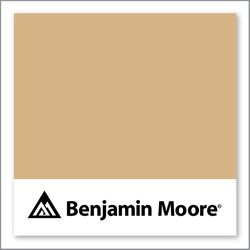 Benjamin Moore Tawny Bisque 1110
