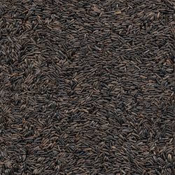 Ace Wild Bird Food 8 lb