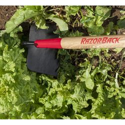 Razor-Back Forged Steel Meadow Hoe 60 in. Wood Handle