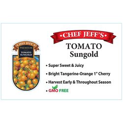 Chef Jeff Yellow Premium Sungold Tomato Vegetable Plant