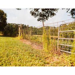 RM18 Weed and Grass Herbicide Concentrate 2.5 gal