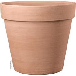 Deroma 5.22 in. H X 5.98 in. W X 5.98 in. D X 5.98 in. D Clay Standard Flower Pot Blush