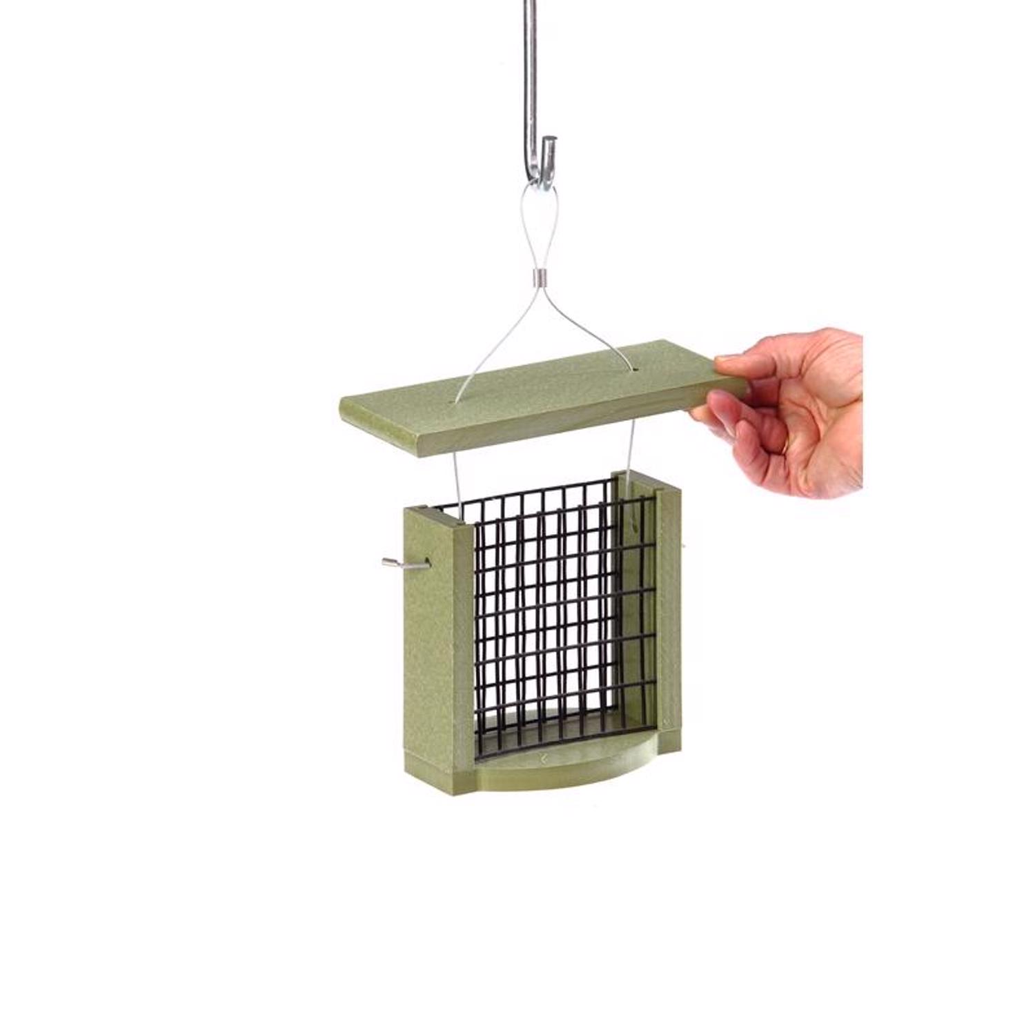 image-2