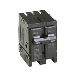 Eaton 100 amps Plug In 2-Pole Circuit Breaker