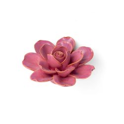 Chive France 1.97 in. H X 4.53 in. L Glazed Pink Ceramic Gardenia Wall Flower