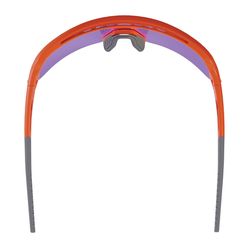 Ergodyne Skullerz AEGIR Safety Glasses Purple Lens Orange Frame 1 pk