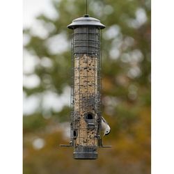Audubon Wild Bird 2.5 lb Metal Dragonfly Tube Bird Feeder 4 ports
