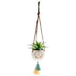 Karma 2 in. H X 2 in. L Multicolored Ceramic Hanging Succulent Pot
