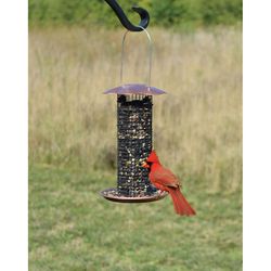 Songbird Essentials Goldfinch 0.5 lb Metal Bird Feeder