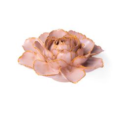 Chive France 2.36 in. H X 5.5 in. L Glazed Pink Ceramic Zinnia Wall Flower