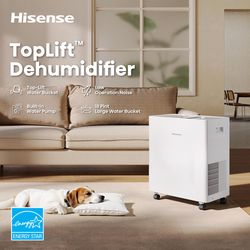 Hisense 4500 sq ft 50 pt Flat Panel Dehumidifier with Pump