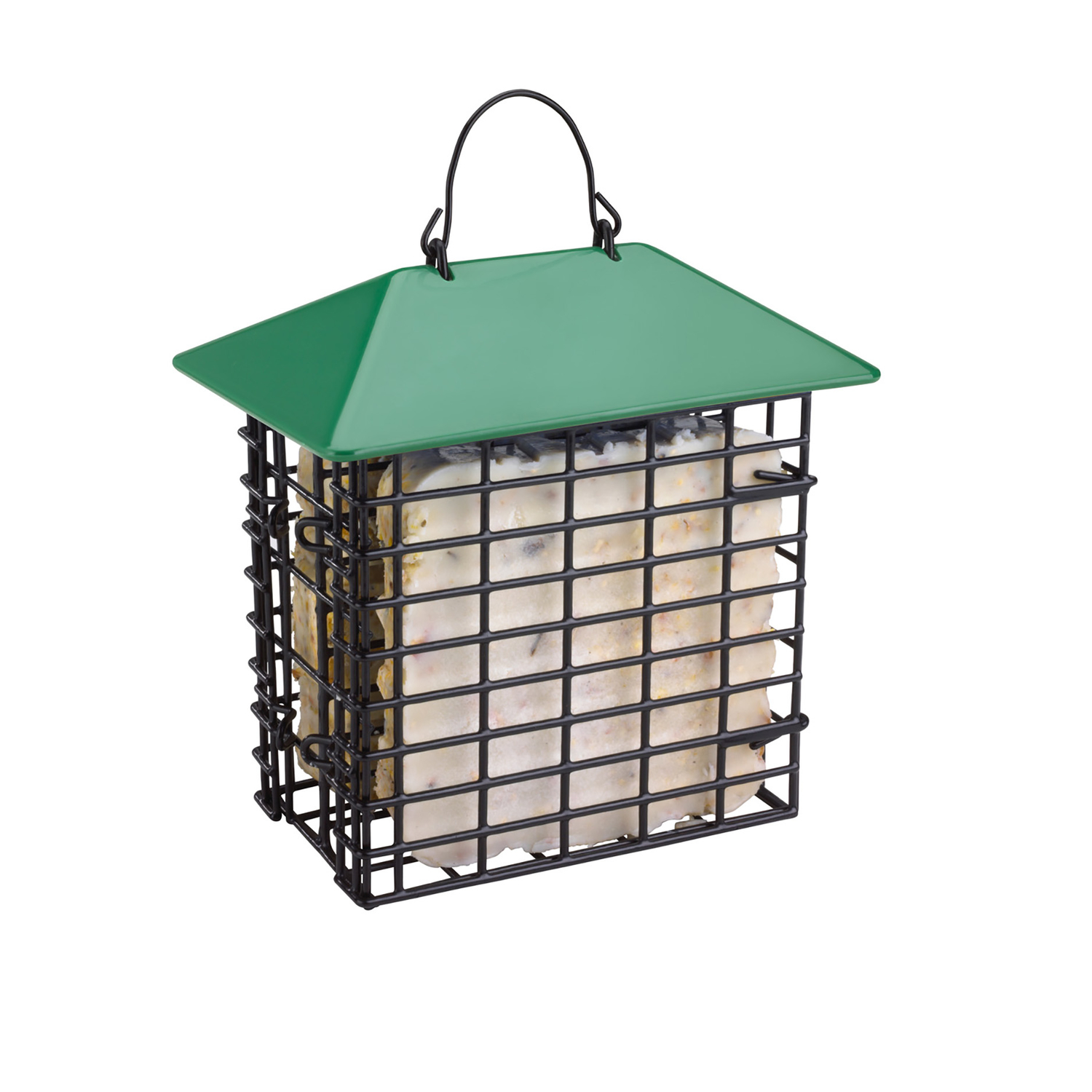 image-6