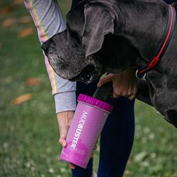 Dexas MudBuster Pink Dog Paw Cleaner 1 pk