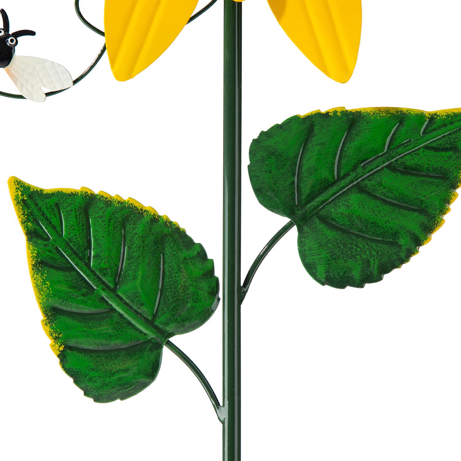 image-4