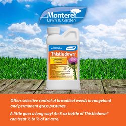 Monterey Thistledown Broadleaf Herbicide Concentrate 8 oz