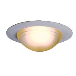 Halo Satin Nickel White 6 in. W Glass Incandescent Shower Lens/Trim