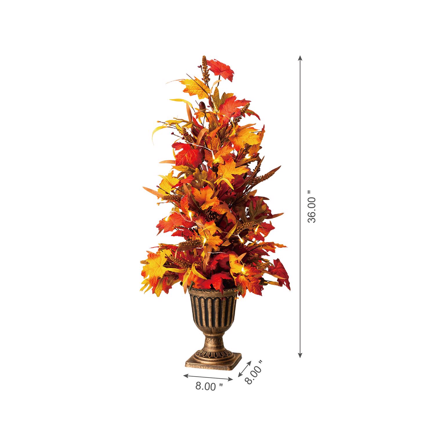 image-7