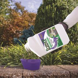 Bonide KleenUp Weed and Grass Killer Concentrate 32 oz