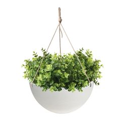 Algreen Acerra 21.7 in. H X 13.8 in. D Plastic Basket Hanging Bowl Planter White