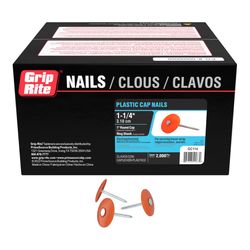 Grip-Rite 1-1/4 in. Cap Electro-Galvanized Plastic/Steel Nail Full Round Head 9 lb
