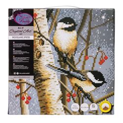 Crystal Art Craft Buddy Woodland Sprites Framed Art Kit Multicolored