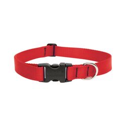 LupinePet Basic Solids Red Red Nylon Dog Adjustable Collar