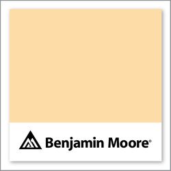 Benjamin Moore Golden Light 143