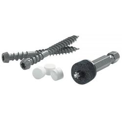 FastenMaster Cortex No. 2 in. X 2 in. L Square Trim Head Deck Screws and Plugs Kit 1 pk