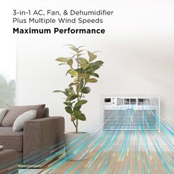 TCL 8000 BTU 115 V Through-the-Wall Air Conditioner w/Remote 350 sq ft