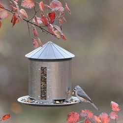 More Birds 7 lb. cap. Plastic/Steel Silo Hopper Bird Feeder