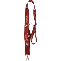 HILLMAN NCAA Polyester Multicolored Coined-Edge Split Lanyard