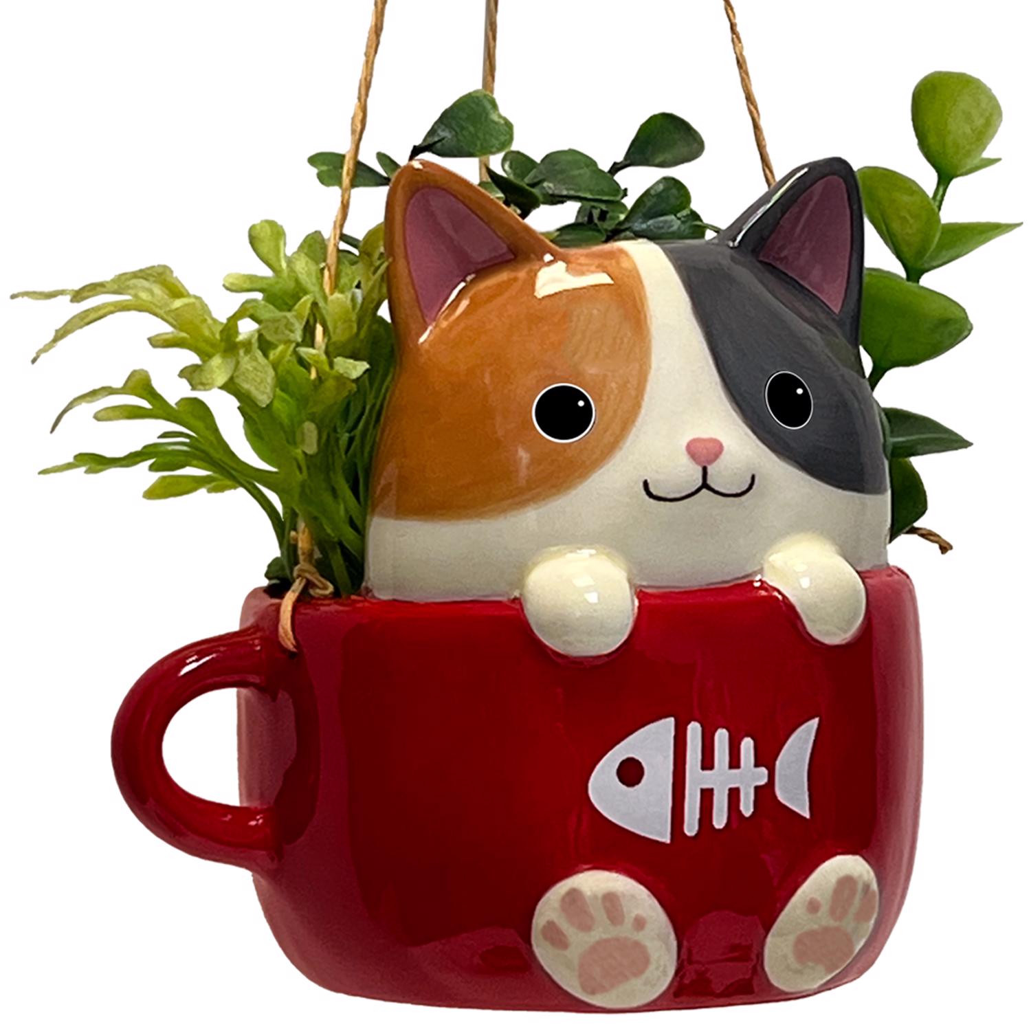 image-5