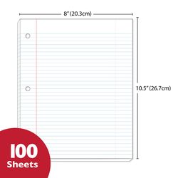 Bazic Products 10-1/2 in. W X 8 in. L Wide Ruled Filler Paper 100 sheet
