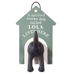 Dog Accessories Lola Dog Leash Hook 1 pk