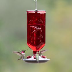 Perky-Pet Hummingbird 16 oz Glass/Metal/Plastic Antique Bottle Nectar Bird Feeder 4 ports