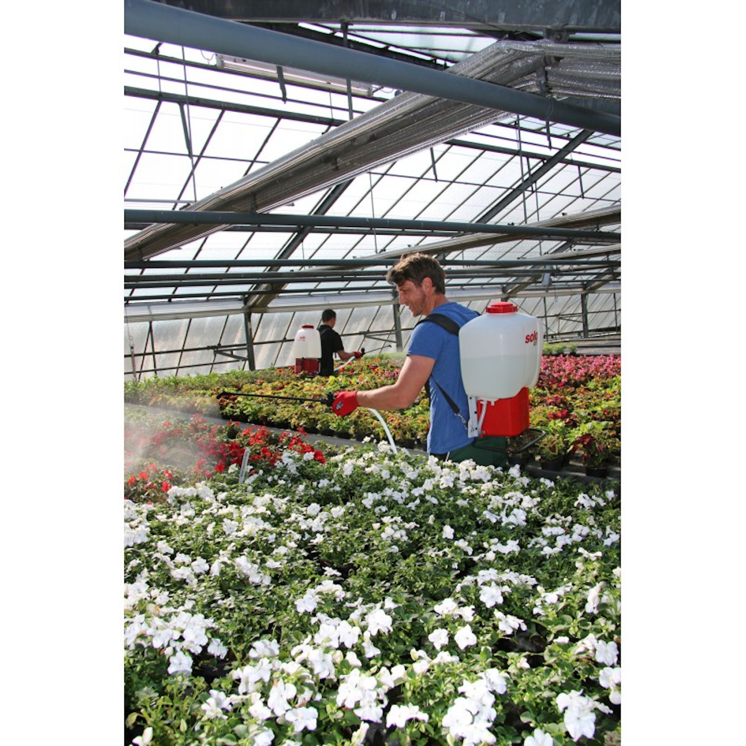 image-2