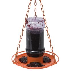 Perky-Pet Oriole 32 oz Metal/Plastic Jelly Feeder Nectar Bird Feeder 3 ports