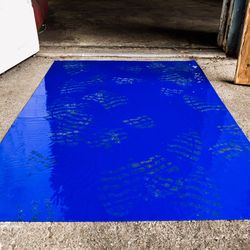 Surface Shields Surface Protection 2 mil X 24 in. W X 36 in. L Polyethylene Blue 4 pk