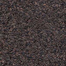 Kaytee Nyjer Wild Bird Food 3 lb
