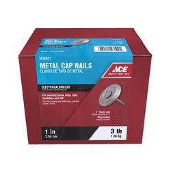Ace 1 in. Roofing Electro-Galvanized Steel Nail Flat Head 3 lb