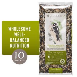 Songbird Selections Perfect Balance with Peanuts Wild Bird Food 10 lb