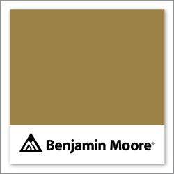 Benjamin Moore Brazen 259